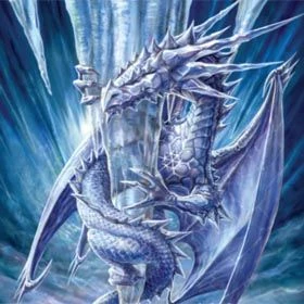 9 Pocket Portfolio Arctic Dragon 1 9 Pocket Portfolio Arctic Dragon