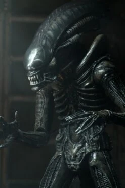 Spielzeug Modell Laden 26 Spielzeug Modell Laden -Spielzeug Modell Laden 51646 8